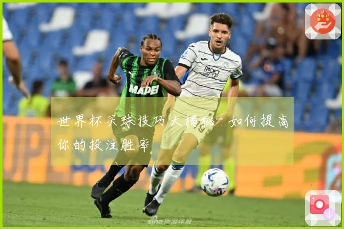 世界杯买球技巧大揭秘- 如何提高你的投注胜率
