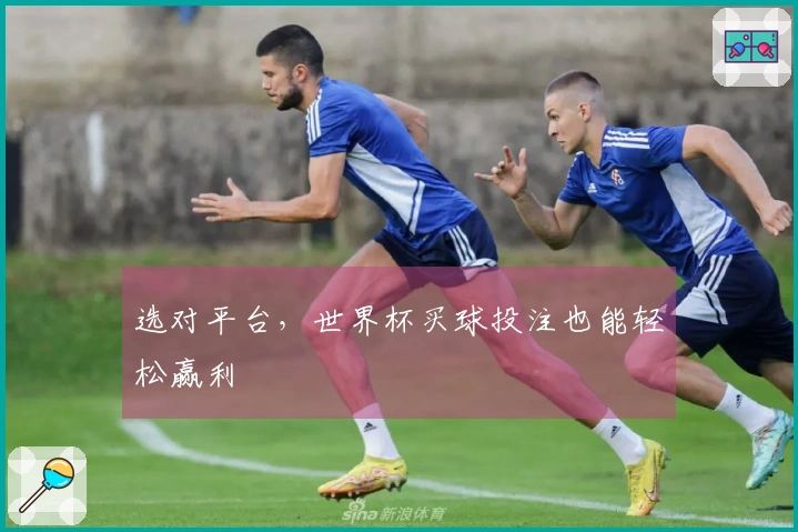 选对平台，世界杯买球投注也能轻松赢利