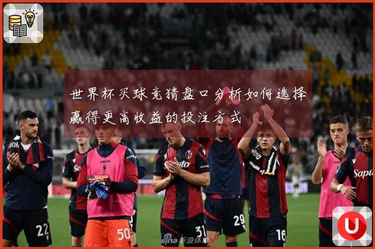 世界杯买球竞猜盘口分析如何选择赢得更高收益的投注方式