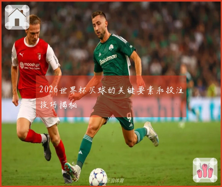 2026世界杯买球的关键要素和投注技巧揭秘