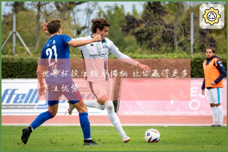 世界杯投注赔率揭秘 让你赢得更多下注优势