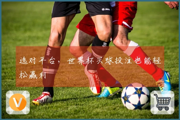 选对平台，世界杯买球投注也能轻松赢利