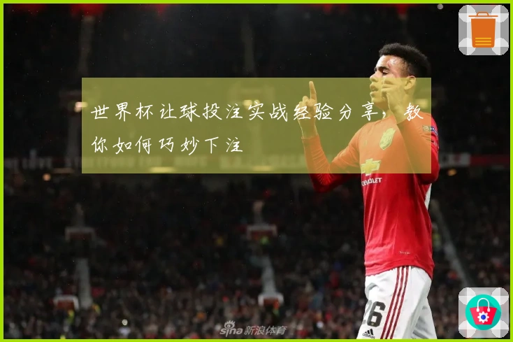 世界杯让球投注实战经验分享，教你如何巧妙下注